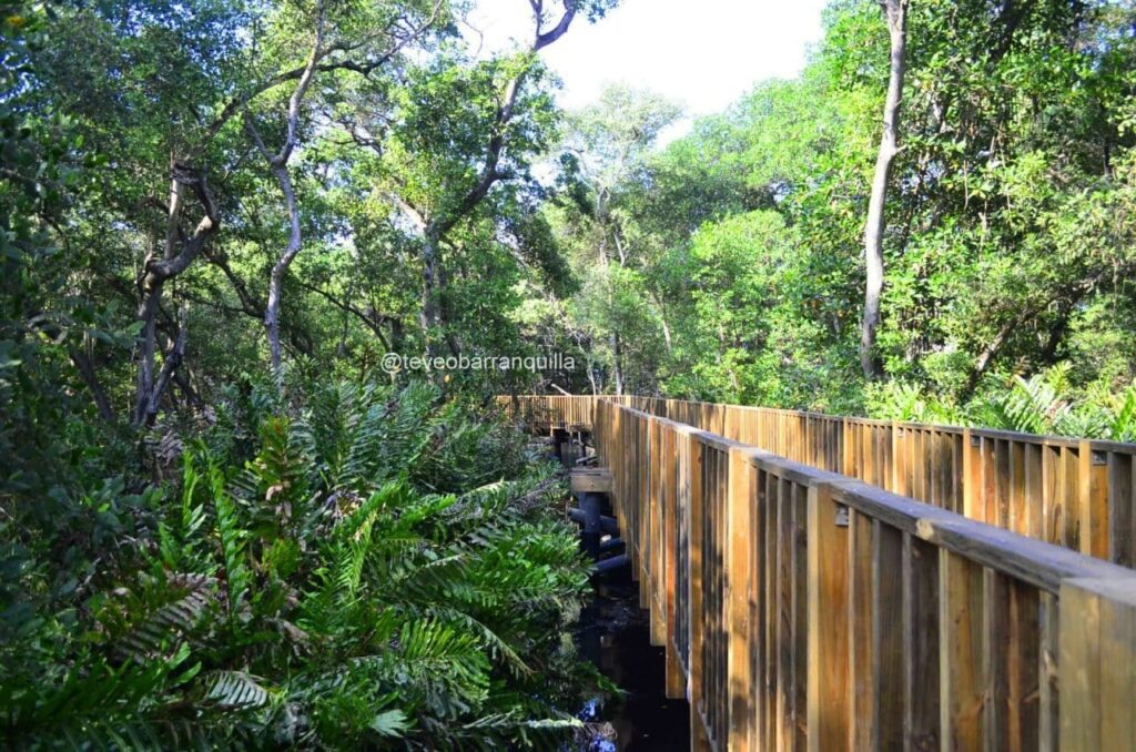 Fotos Ecoparque ciénaga de mallorquín