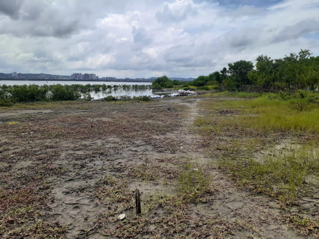 ecoparquecienagademallorquin