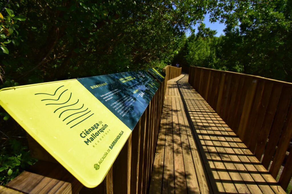 ecoparque ciénaga de mallorquín barranquilla