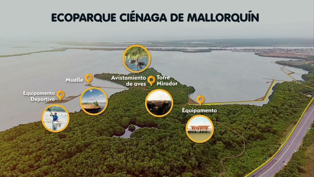 proyecto de la ciénaga de mallorquín