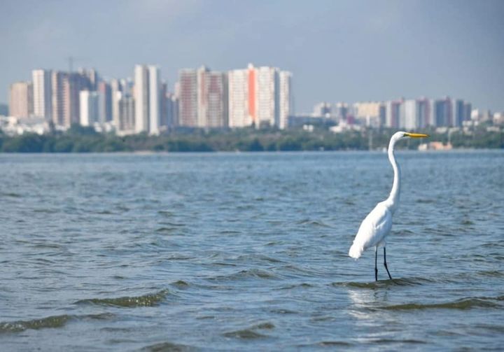 ecoparque mallorquín barranquilla fotos