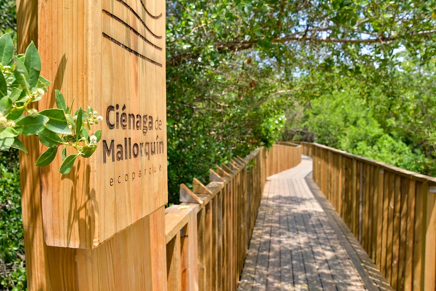 Proyecto ciénaga de mallorquín