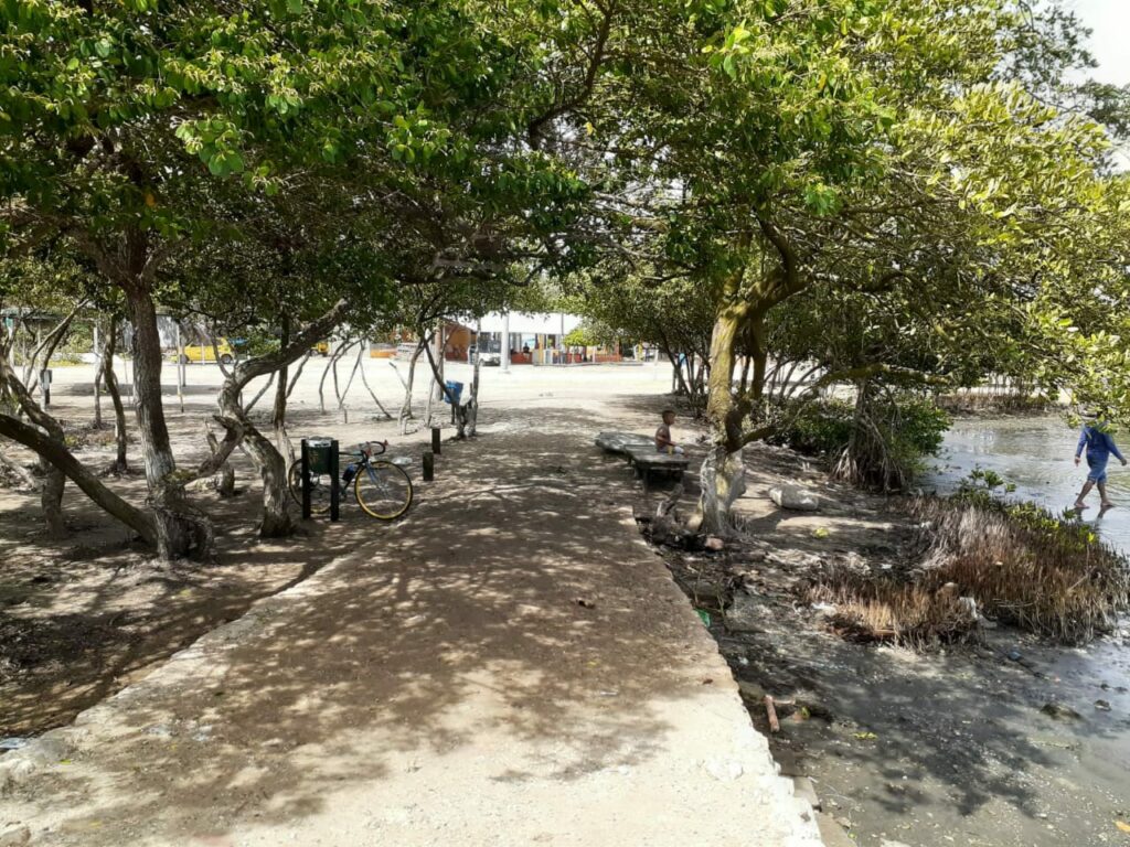 Ciénaga Mallorquín