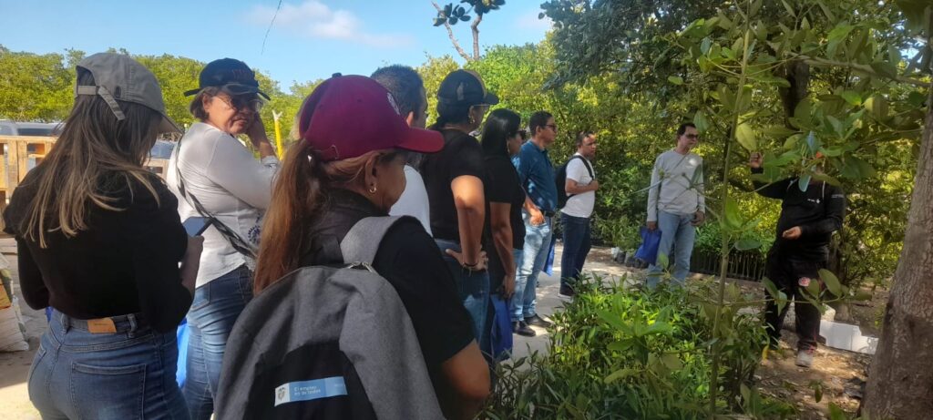 charla en el vivero de manglares