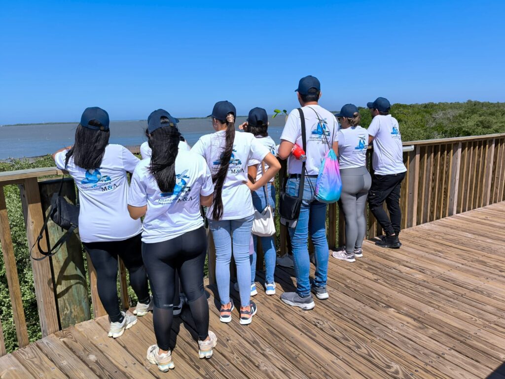 Alianza logística internacional en Mallorquín