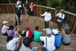 Tour exploración sendero de manglar