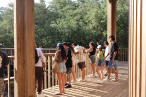 Universidad Javeriana en Cienaga de Mallorquin