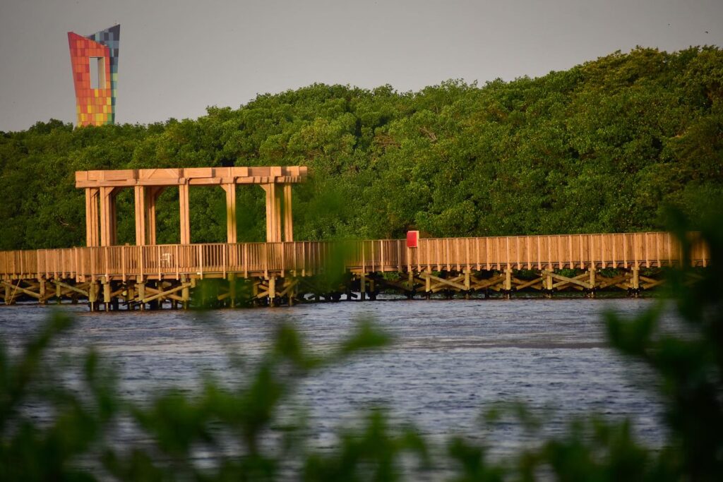 Yoga en Barranquilla.. Cienaga de Mallorquin