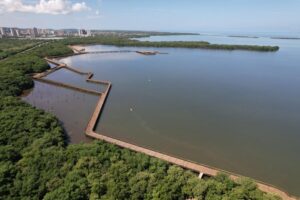 Comunidades en Ciénaga de Mallorquín